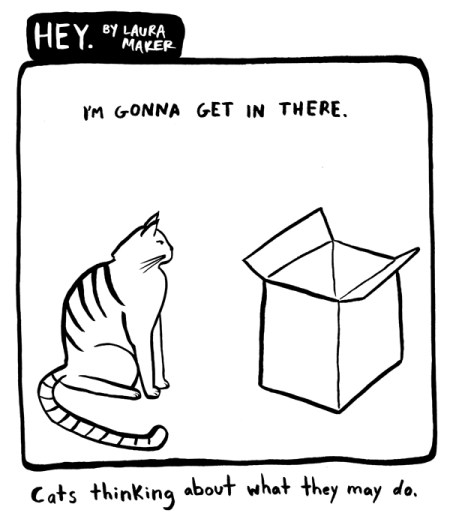 Cats thinking about what they may do.