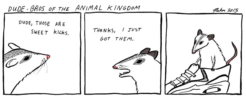 Opossums